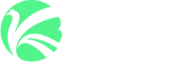 开元心旅行